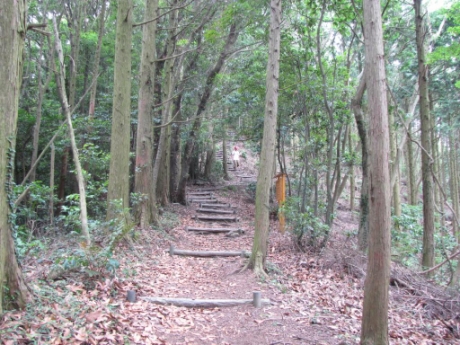 画像11
